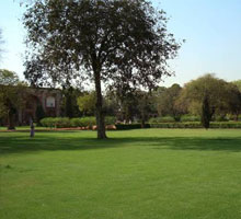 india gate lawns