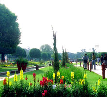 mugal gardens Must Visit Delhi Tourist Attractions