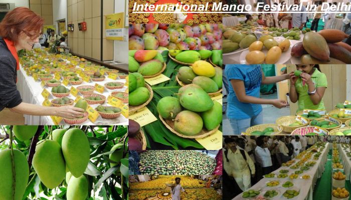 International Mango Festival International Mango Festival, Delhi — Complete Pulpy Extravaganza!