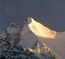 delhi almora tour