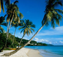 goa beach