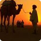 rajasthan special tours